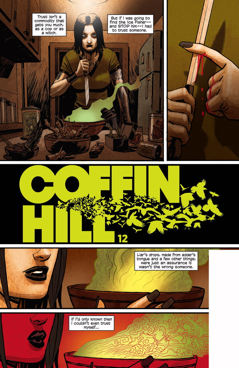 COFFIN HILL #12