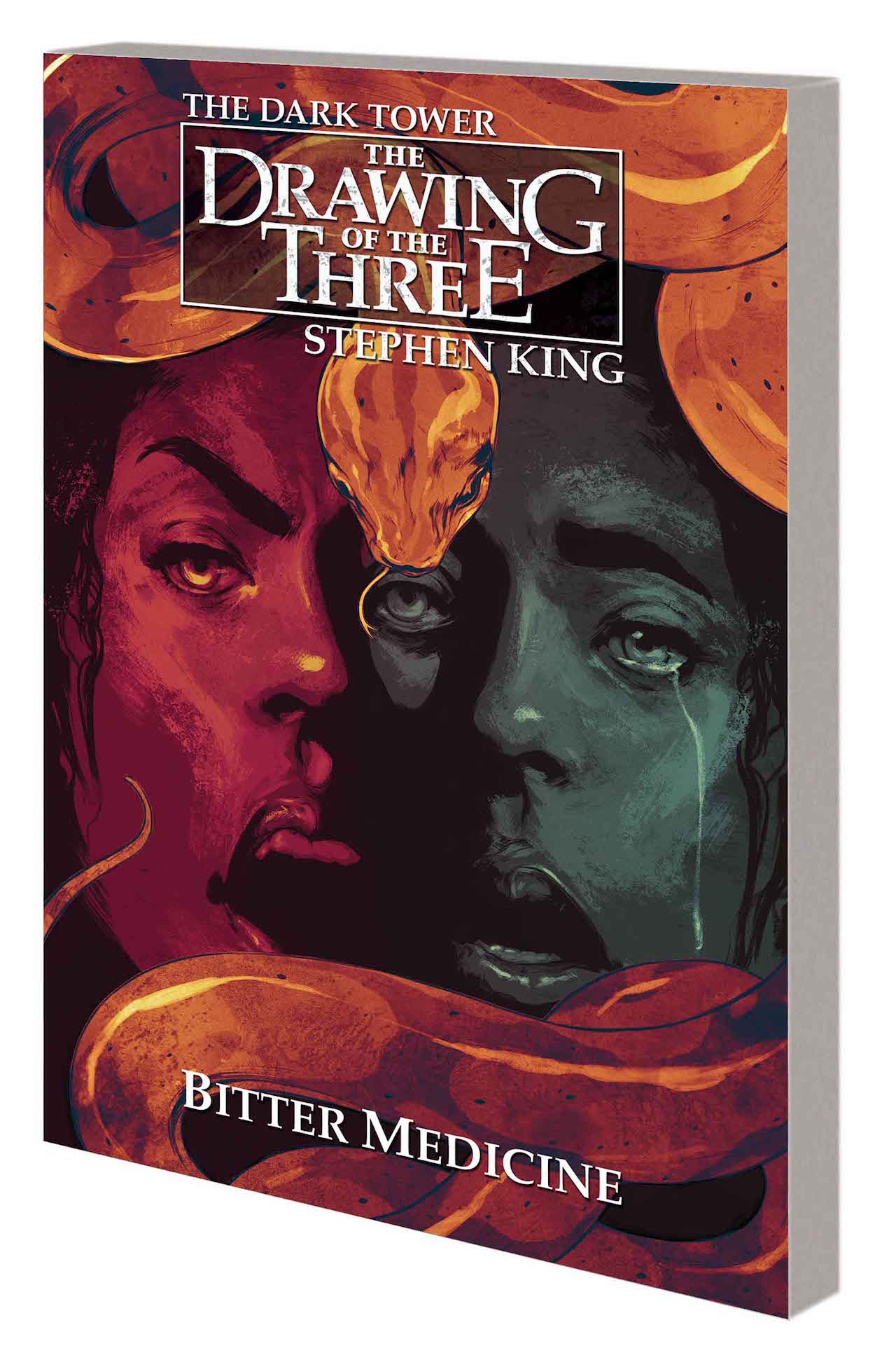 DARK TOWER: THE DRAWING OF THE THREE – BITTER MEDICINE TPB
